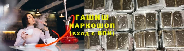 a pvp Новозыбков