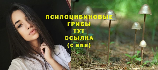гидропоника Новодвинск