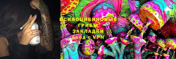 гидропоника Новодвинск