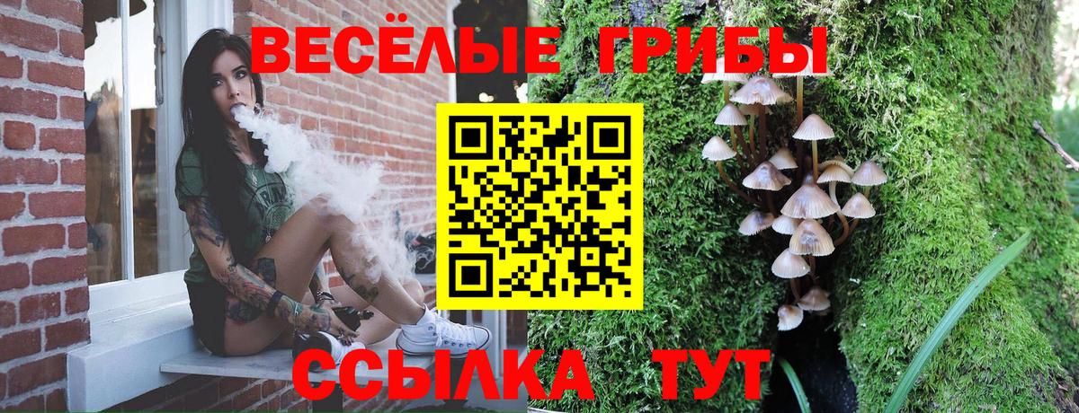 Галлюциногенные грибы MAGIC MUSHROOMS  Ишимбай  Галлюциногенные грибы мицелий 