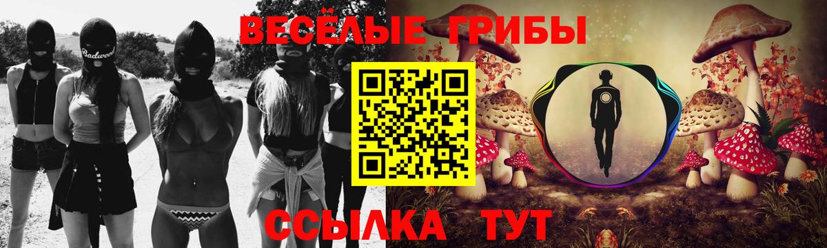 Галлюциногенные грибы мухоморы Ишимбай